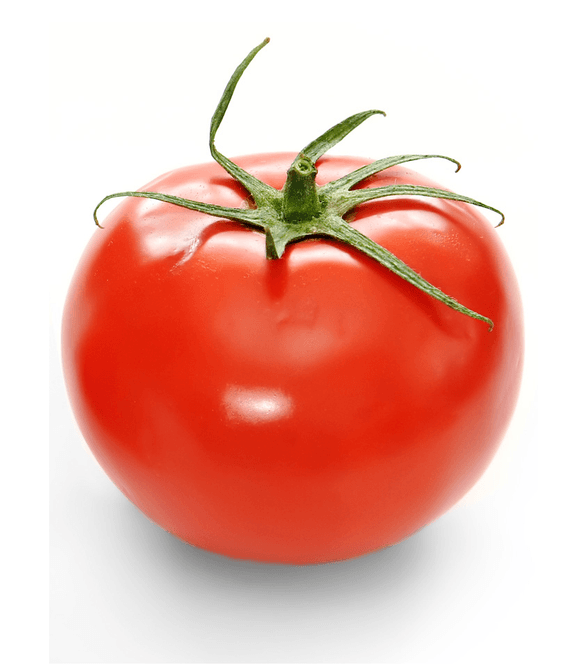 Hovedbilde Tomat 57/67